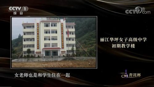 这他妈才是爱情伴奏(这他妈的才是爱情呢网络歌曲)插图14