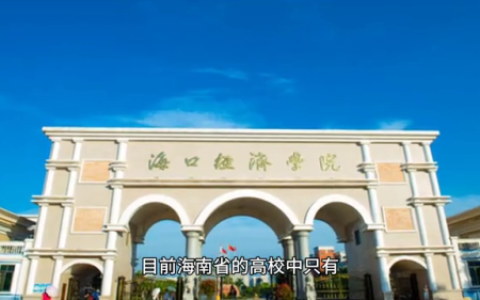 海口教育机构排名前十(海口十大教育培训机构排名)