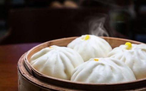 那里有学习做包子的(哪里有免费学做包子)