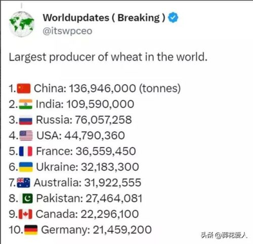 小麦产量排名全球前十(全球小麦产量一览表)插图