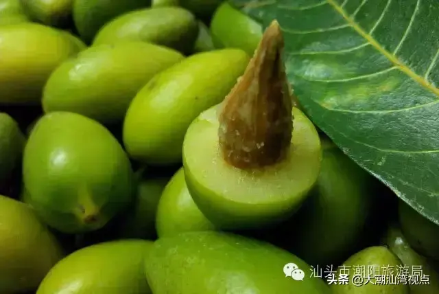 潮阳老牌小吃排名前十(潮阳棉城美食地点)插图14