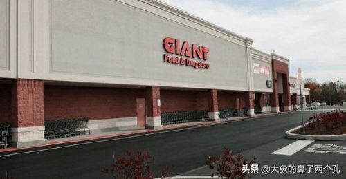 荷兰粮油企业排名前十(荷兰高科技企业)插图3