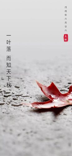 立秋图片大全高清(一叶知秋图片)插图37