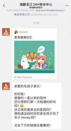 南京艾贝尔宠物医院(南京宠物医院前十名)插图