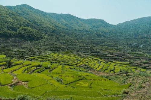 绍兴露营餐馆排名前十(绍兴晚上哪儿露营好)插图17