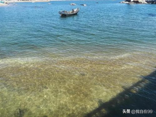 兴城旅游景点(兴城温泉包吃住50元)插图9