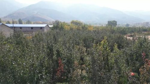 朔州旅游(朔州美食)插图2