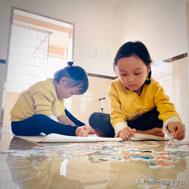 拼图最强品牌排名前十(最强大脑14巧板拼图法)插图4