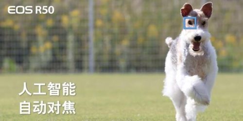 佳能e1(佳能打印机e1是什么故障代码)插图16