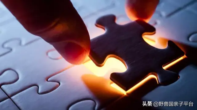 拼图最强品牌排名前十(最强大脑14巧板拼图法)插图7