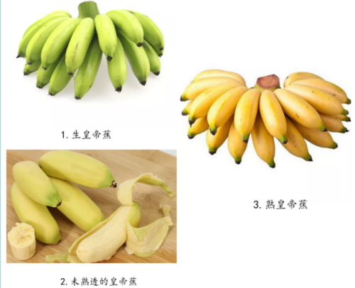 商业香蕉品种排名前十(香蕉最好的品种是哪种)插图4