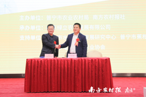 普宁水果超市排名前十(普宁水果批发市场在哪里)插图8