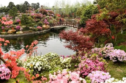 长沙植物园门票(长沙植物园预约免费门票)插图1