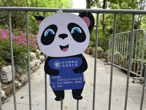 杭州野生动物园(杭州野生动物园恢复营业了吗)插图5