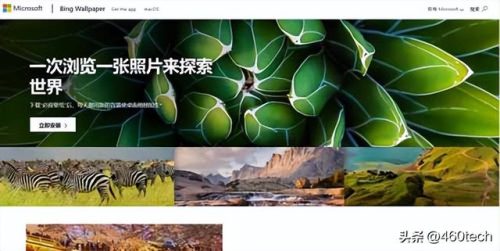 电脑壁纸软件(电脑壁纸软件哪个好用免费)插图