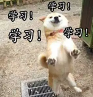 元宵节情人节同一天(从春节到元宵乃至情人节)插图4