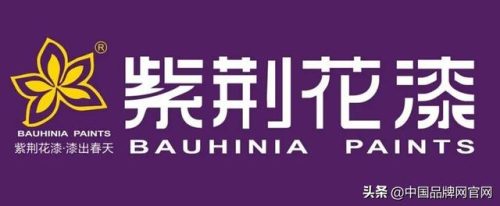 国内排名前十的油漆(中国环保漆十大排名榜)插图6