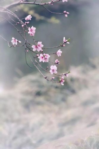 七情六欲的意思(七情六欲指什么生肖)插图