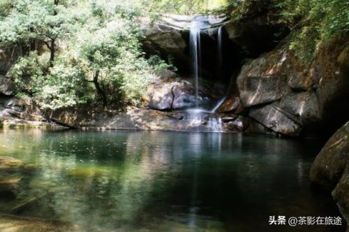 镇安木王森林公园(镇安木王森林公园天气)插图4