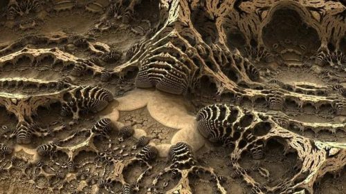 生物大灭绝(三次物种大灭绝是哪三次)插图