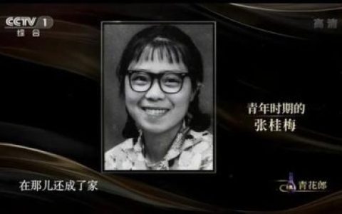 这他妈才是爱情伴奏(这他妈的才是爱情呢网络歌曲)