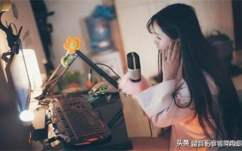 排名前十的声卡音响(山水直播声卡音响)