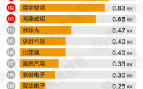 车载摄像系列排名前十(车载摄像头排名)