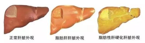 福州脂肪医生排名前十(福州十大医生)插图4