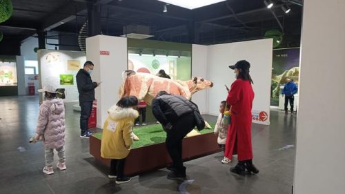 郑州东北景点排名前十(郑州适合老年人的景点)插图9