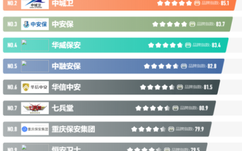 国际安保集团排名前十(博尼安保集团)