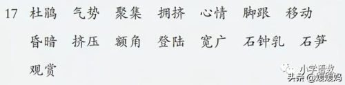 鹃组词组(娟组词语)插图3