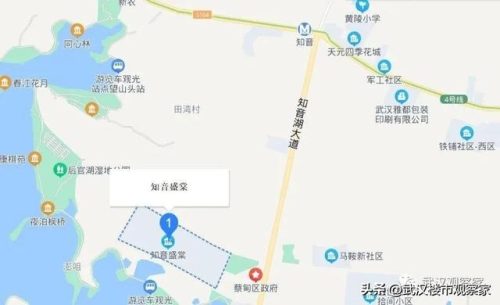 武汉奢侈餐馆排名前十(武汉十大免费餐馆)插图38
