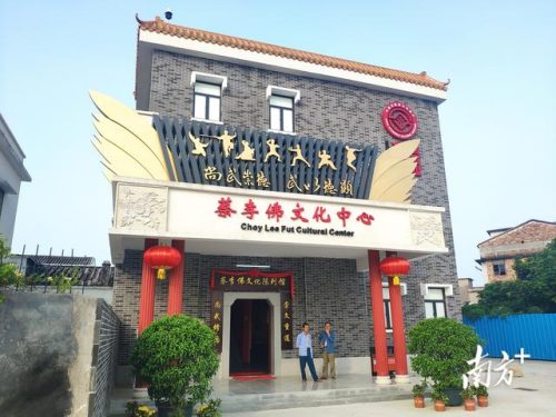 蔡李佛拳2010(蔡李佛拳完整版)插图6