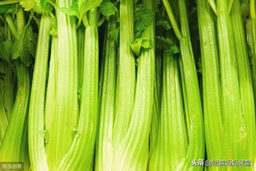 饺的组词是什么(饺组词有几个)插图2