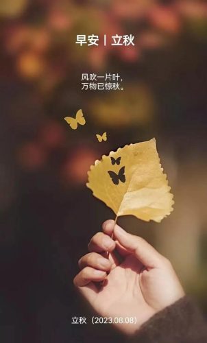 立秋图片大全高清(一叶知秋图片)插图10