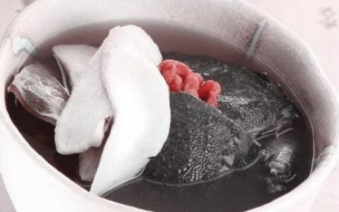 甲鱼汤怎么炖补肾效果好(甲鱼炖什么比较补肾)