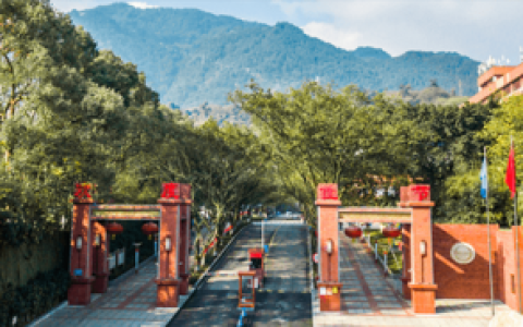 四川外国语(外国语大学全国排名)