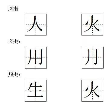 你的笔顺(你的正确写法)插图9