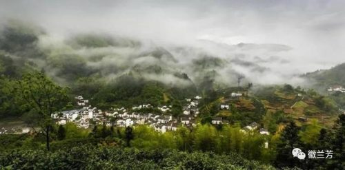 中国茶市(新昌中国茶市)插图