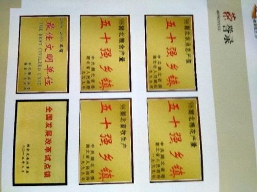 唐县餐厅饭店排名前十(盘锦十大特色饭店)插图8