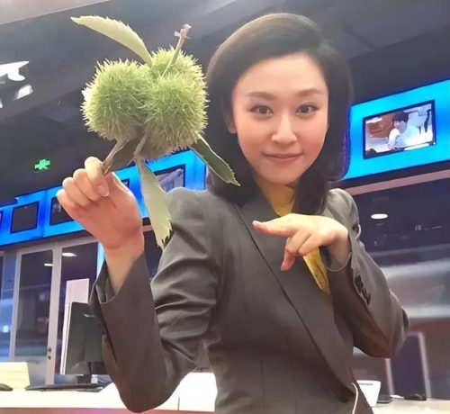 中国第一女声优(国内女顶尖声优)插图7