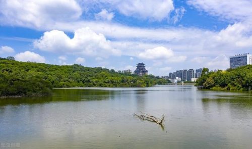 南宁休闲基地排名前十(南宁吃喝玩乐一体的地方)插图39