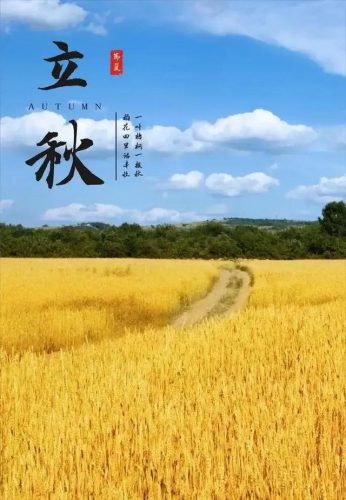 立秋图片大全高清(一叶知秋图片)插图50