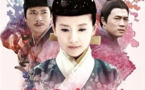 倾城雪剧情介绍(电视剧倾城一夜雪)