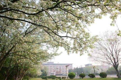 山东石油大学(全国985学校排名顺序最新)插图1