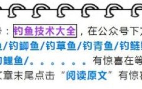 沈阳钓鱼选手排名前十(沈阳三好桥钓鱼)