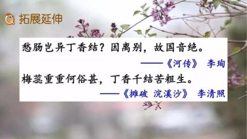 霜树尽空枝肠断丁香结(芭蕉不展丁香结同向春风各自愁)插图47