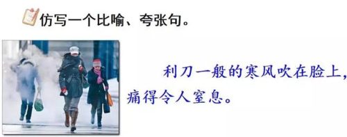 僵字组词(庄组词有)插图33