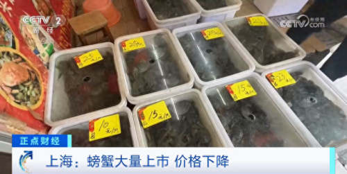 螃蟹价格(螃蟹价格最新行情)插图