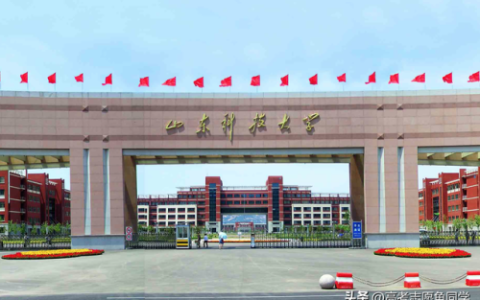 山东高考报名排名前十(山东省招生考试院登录)